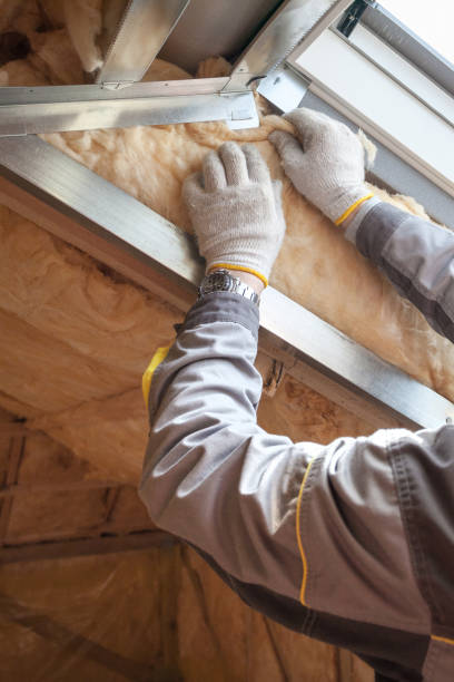 Types of Insulation We Offer in Bloomfield, MO